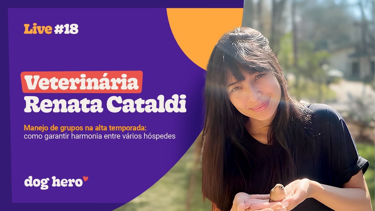 Manejo de grupos na alta temporada: como garantir harmonia entre vários hóspedes | Live #018