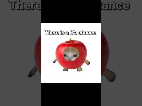 Unless you put it there.#shorts sh#c #cat #funny #memes #viral #humor #fyp