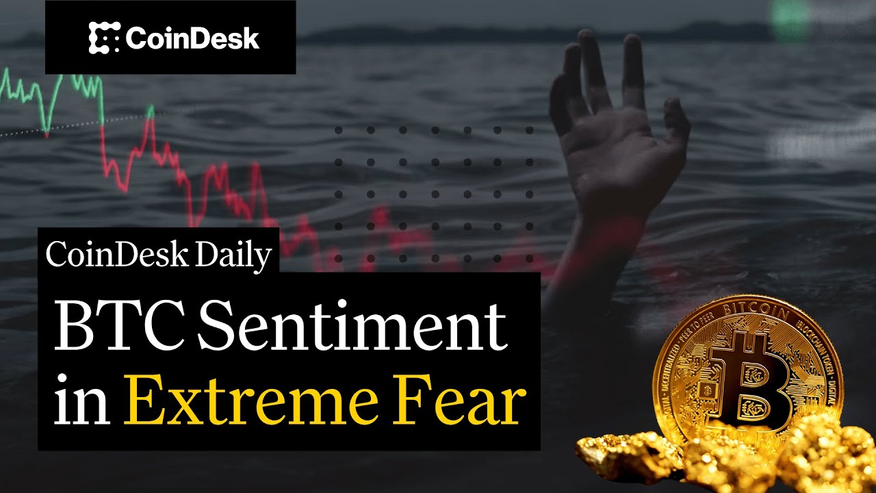 Cryptocurrency Markets Rebound Sunday Following Liquidation-Driven Correction