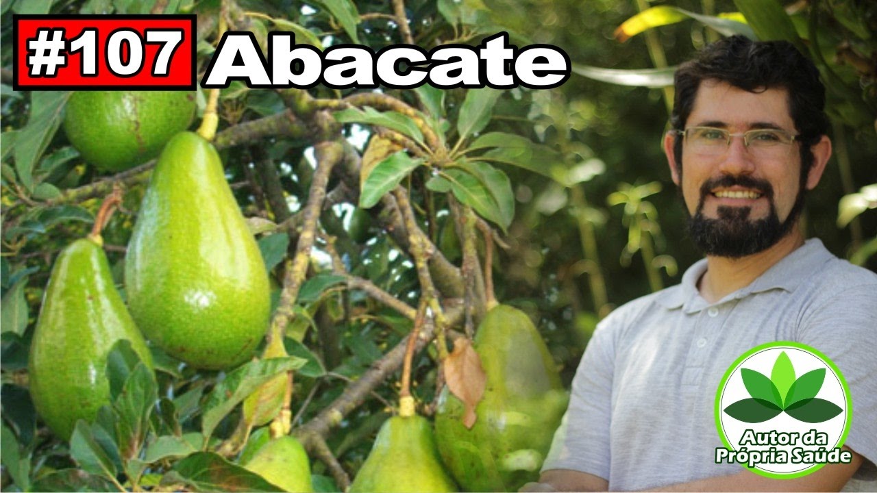 Autor da Própria Saúde - Abacate [diabetes, colesterol, reumatismo, hipertensão, cistite]