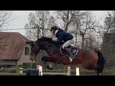 Sold italy 🇮🇹 7 yo quickstar x Clinton stallion 👍👍