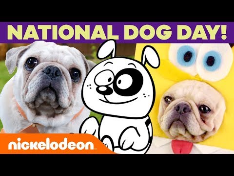 National Dog Day! 🐶 Celebrate Your Pup w/ SpongeBob, The Loud House & 44 Cats | #MusicMonday