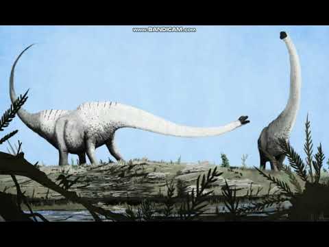 アンフィコエリアスの音