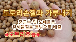 [도토리가루만들기] 도토리손질 및 가루만들기