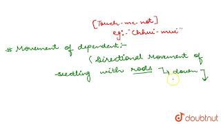 IMMEDIATE RESPONSE TO STIMULUS