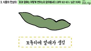 과학 4학년 1학기 3단원 8차시 영상(62-63p)