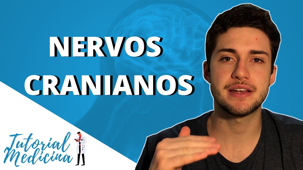 Nervos Cranianos - Neuroanatomia