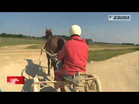 Carnet de pistes : Hervé Sionneau