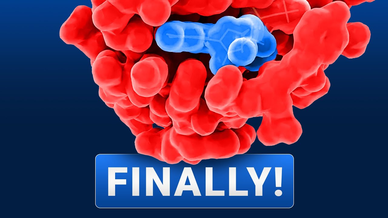 AlphaFold 3 AI Just Won The Nobel Prize!