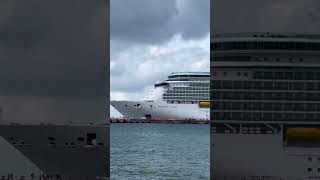 A chill and quiet cruise ship spot!.. #cruiseship #travel #cruise #shorts #vacation #yt #ytshorts