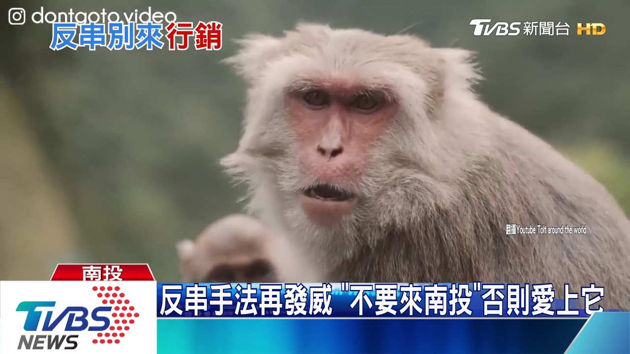 反串手法再發威 「不要來南投」否則愛上它