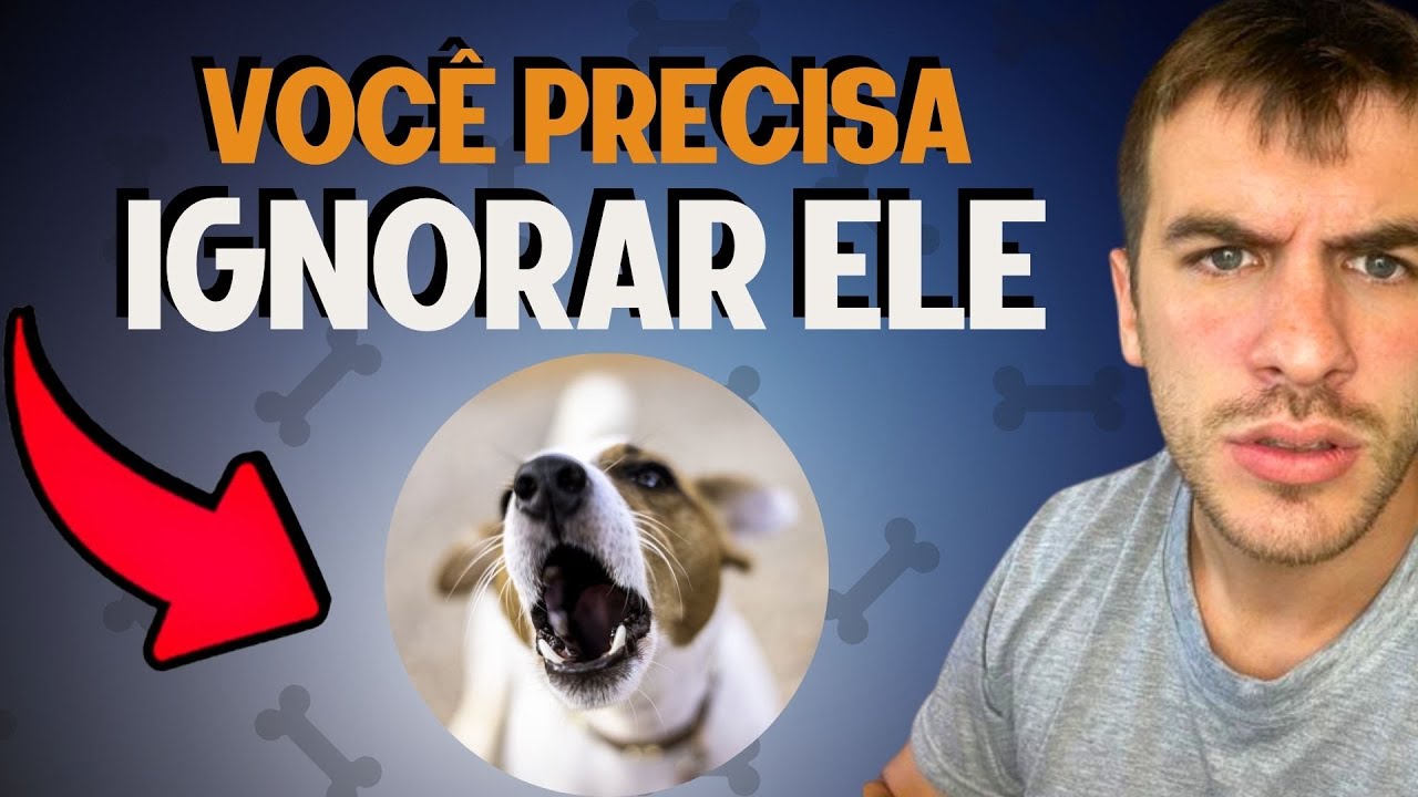 Você Nunca Deve Dar Atenção Pro Seu Cachorro Nesse Momento