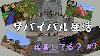 【4歳から始めるサバイバル生活★Part7】マイクラ実況