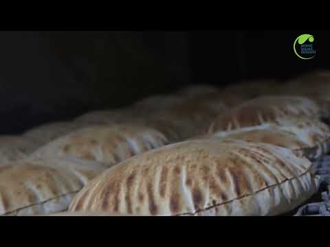 Daily Bread and Food Support for Families in Syria