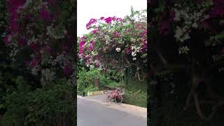 Download lagu Story WA Viral Part 189 #shorts #storywa #viralshorts mp3
