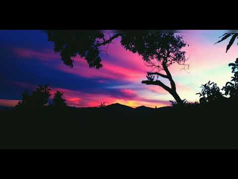 sam franklin no good for u (lyrics video)