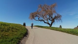 Alex Torres : The Driveway