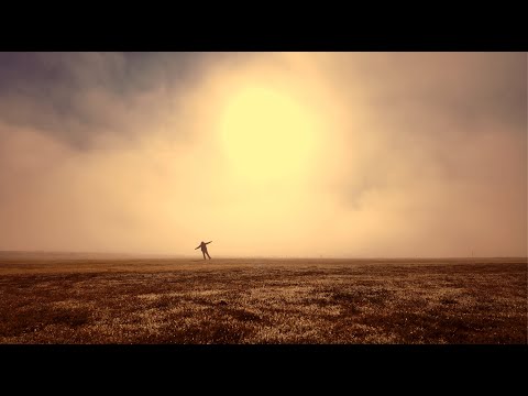 The Paper Kites - When The Lavender Blooms (Official Video)
