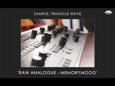SoundsDivine 'Raw Analogue' - Memorymoog Sample Library
