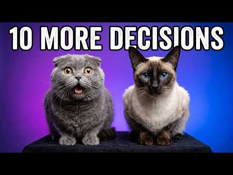 10 More Cat Decisions You've Been Getting Wrong (Daily Care)