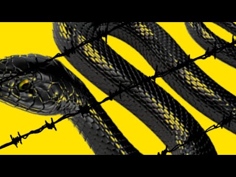 Post Malone - rockstar (Megamix) ft. Lil Wayne, 21 Savage, Galaxy Goats, Jadakiss, T-Pain...