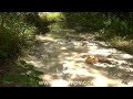 Quicksands 7