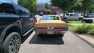1968 Shelby GT500 Fastback Rear End