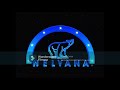 Nelvana Limited Canada Logo History 1977 Present