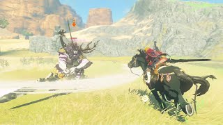 騎馬戦で華麗にライネルを討伐したい生放送！【ゼルダの伝説 ティアーズオブザキングダム】