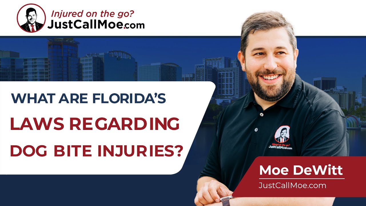 What are Florida’s laws on liability for dog bite injuries?