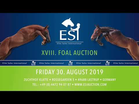 052. "Twice as Nice" darkbay filly by Cornet Obolensky x Diarado x Chellano Z   www.esiauction.com