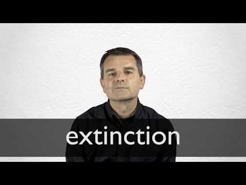 Hindi Translation of “extinction” | Collins English-Hindi Dictionary Hindi Translation of “extinction” | Collins English-Hindi Dictionary