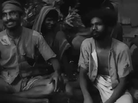 जसोदा तेरो लालना री श्याम घनश्याम — वीडियो थंबनेल