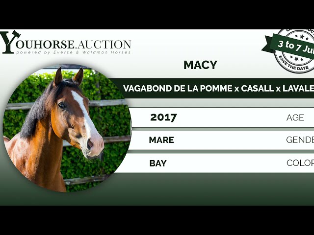 Macy W under the saddle