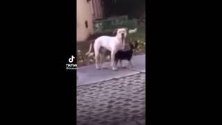 That’s Rape!