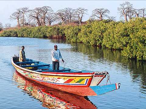 Medina Sabakh Ngoyane