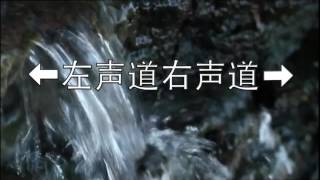 [問題] IMM的RCA 聲道相反?