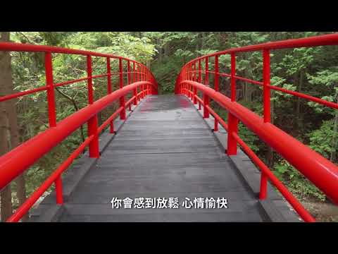 遊玩日本東北岩手縣萬萬不能錯過的景點之一喔。岩泉町 龍泉洞
