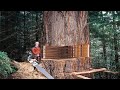 Fastest Big Chainsaw Cutting Tree Machines Skills, Incredible Homemade Wood Cutting Machines