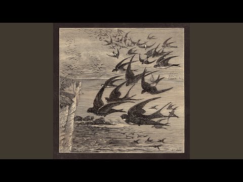 Little Birds (Demo [1998])