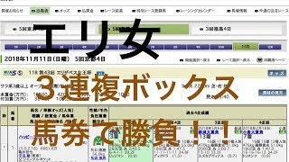 エリザベス女王杯　２０１８予想
