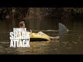 Ataque De Tiburones En Verano 2016 Película Completa Lat