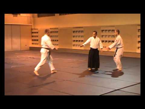 2013 Yoshinkan Aikido Demonstration by Ando Sensei in Poland
