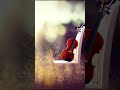 Whatsapp Status Taqdeer Movie Whatsapp Status