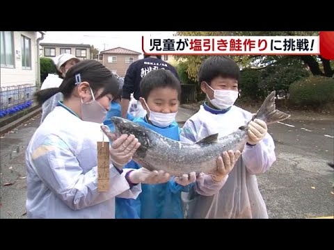 ¡Los niños asumen el desafío de preparar el "salmón salado" de la cultura tradicional de Murakami! Colgando a finales de este mes [Niigata] (22/11/07 18:48)