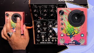 Walrus Audio Melee: Wall of Noise - What To Know & Where To