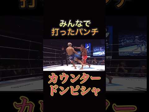 カーフキックにカウンター‼️そしてえげつないパンチの音 #rizin #所英男 #カウンター #格闘技 #格闘家 #ブレイキングダウン #shorts #short #fyp