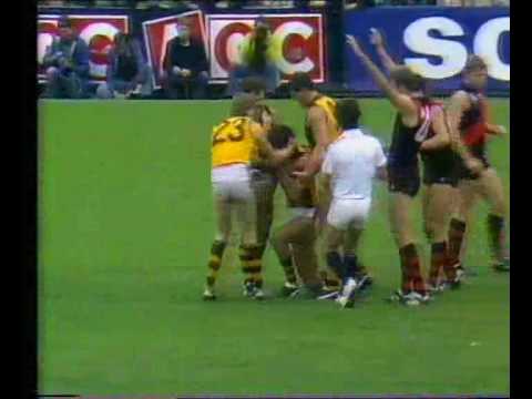VFL R2 1984 - Essendon v Hawthorn