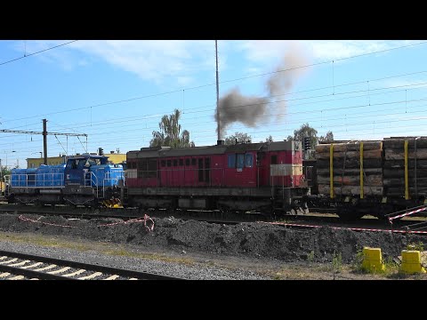 🇨🇿 Ohne Ruß keine Leistung😜Holzzug bei Ein-und Ausfahrt in Cheb/Eger