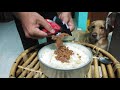 Drools Adult Gravy For Dogs Drools Adult Nutrition Oscar